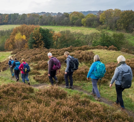 Morley walking club