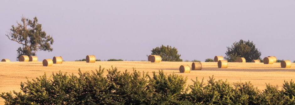 P7150053